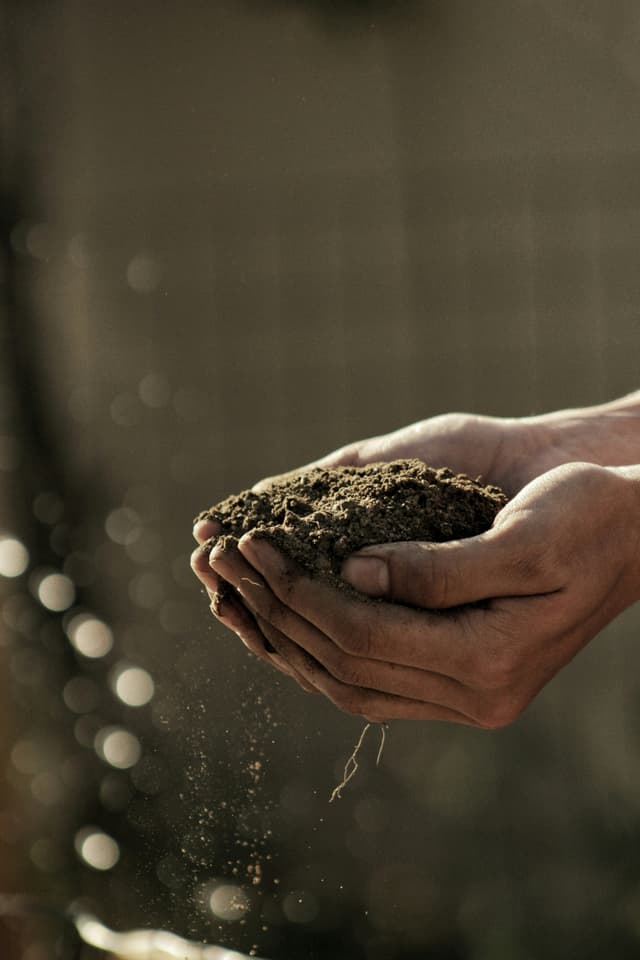 Food & Agriculture